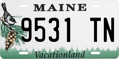 ME license plate 9531TN