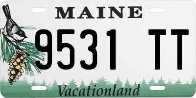 ME license plate 9531TT