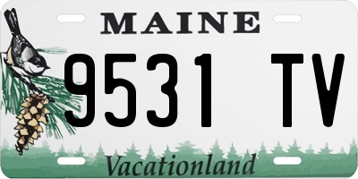 ME license plate 9531TV