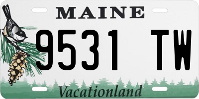 ME license plate 9531TW