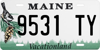 ME license plate 9531TY