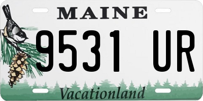 ME license plate 9531UR