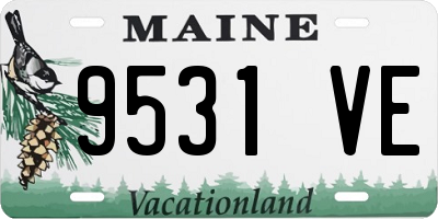 ME license plate 9531VE