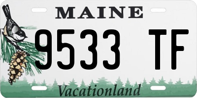 ME license plate 9533TF