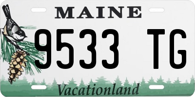ME license plate 9533TG