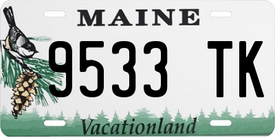 ME license plate 9533TK