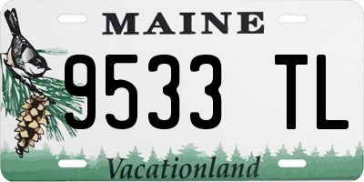ME license plate 9533TL