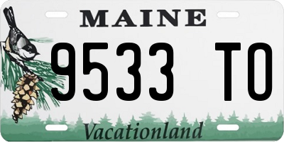 ME license plate 9533TO