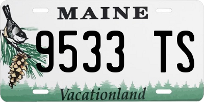 ME license plate 9533TS