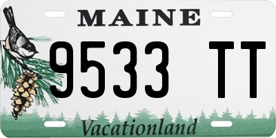ME license plate 9533TT