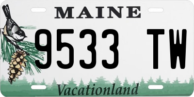 ME license plate 9533TW