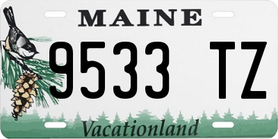 ME license plate 9533TZ