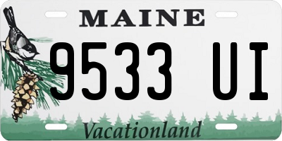 ME license plate 9533UI