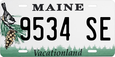 ME license plate 9534SE