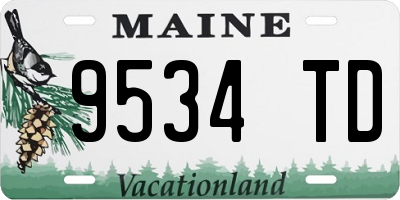 ME license plate 9534TD