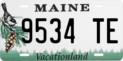 ME license plate 9534TE