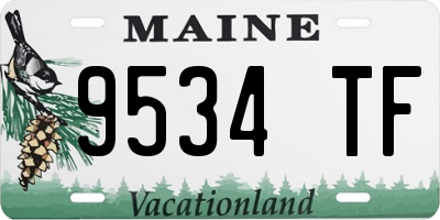 ME license plate 9534TF