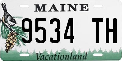 ME license plate 9534TH