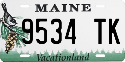 ME license plate 9534TK