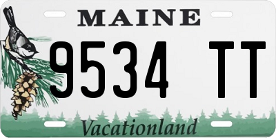ME license plate 9534TT