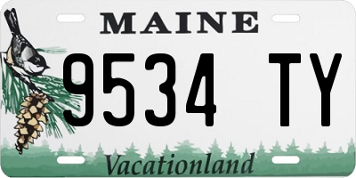 ME license plate 9534TY