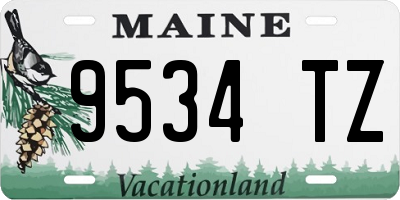 ME license plate 9534TZ
