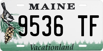 ME license plate 9536TF