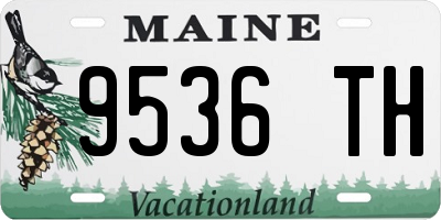ME license plate 9536TH