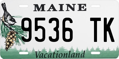 ME license plate 9536TK