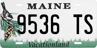 ME license plate 9536TS