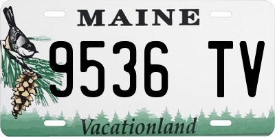 ME license plate 9536TV