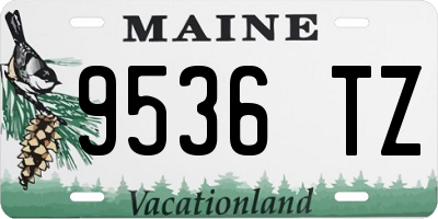 ME license plate 9536TZ