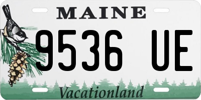 ME license plate 9536UE