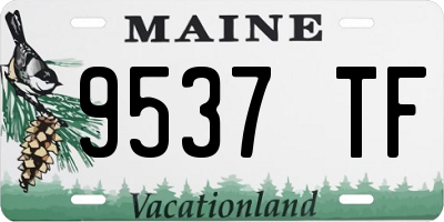 ME license plate 9537TF