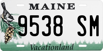 ME license plate 9538SM
