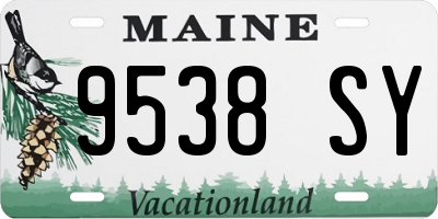 ME license plate 9538SY