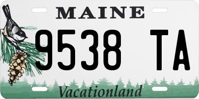 ME license plate 9538TA
