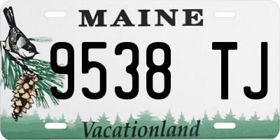 ME license plate 9538TJ