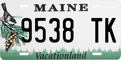ME license plate 9538TK
