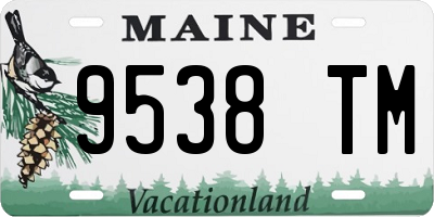 ME license plate 9538TM