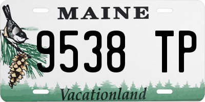ME license plate 9538TP