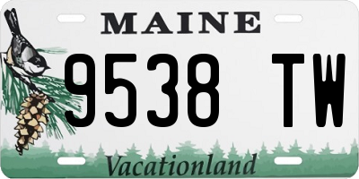 ME license plate 9538TW