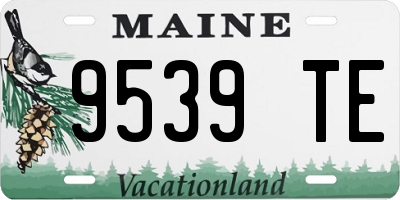 ME license plate 9539TE