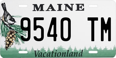 ME license plate 9540TM