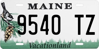 ME license plate 9540TZ