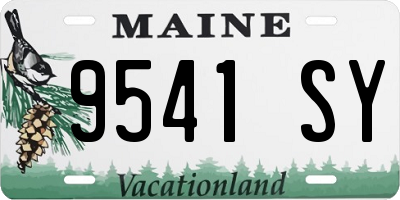ME license plate 9541SY
