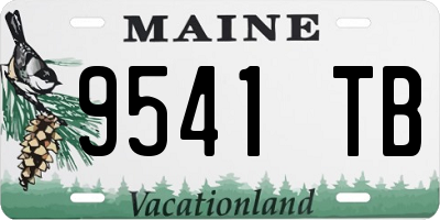 ME license plate 9541TB