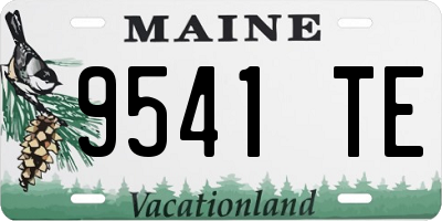 ME license plate 9541TE