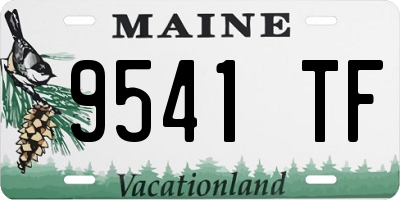 ME license plate 9541TF