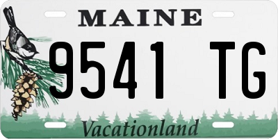 ME license plate 9541TG